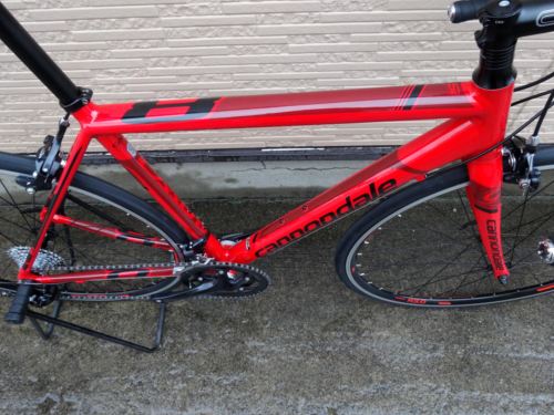 2015CaCAAD8SORA%20RED005.JPG