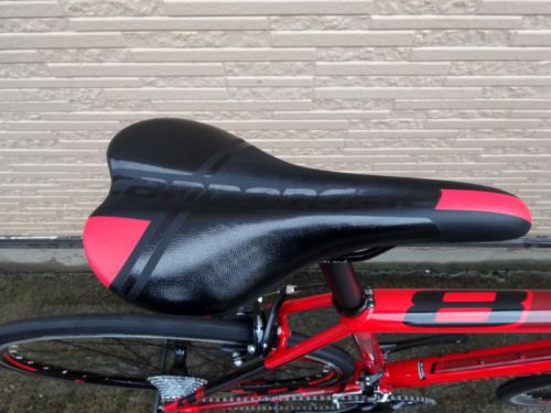 2015CaCAAD8SORA%20RED011.JPG