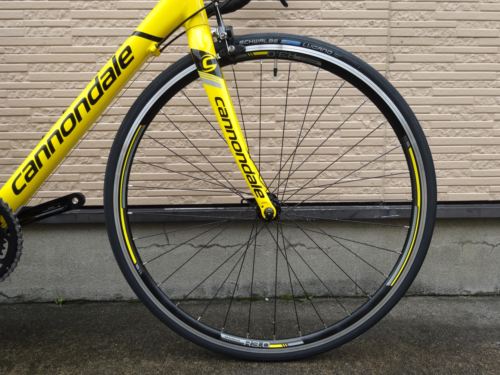2015CaCAAD8SORA%20yellow004.JPG