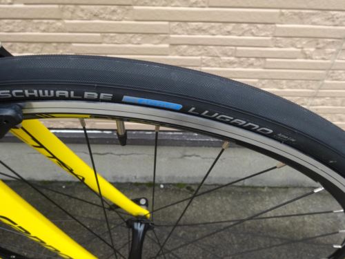 2015CaCAAD8SORA%20yellow005.JPG