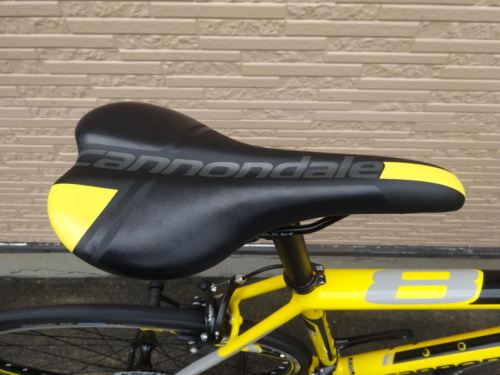 2015CaCAAD8SORA%20yellow008.JPG
