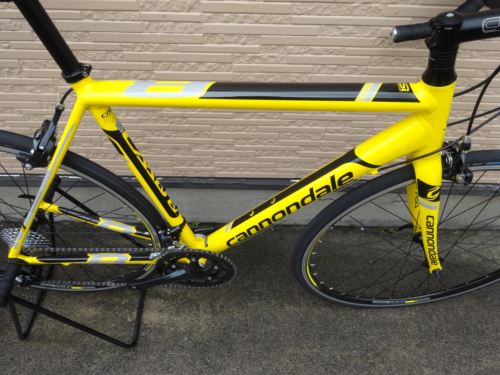 2015CaCAAD8SORA%20yellow013.JPG