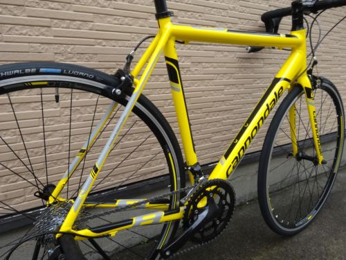 2015CaCAAD8SORA%20yellow014.JPG
