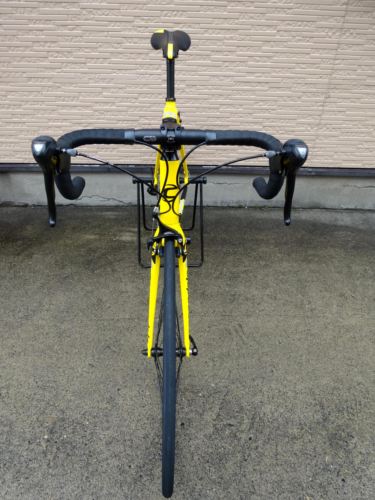 2015CaCAAD8SORA%20yellow019.JPG