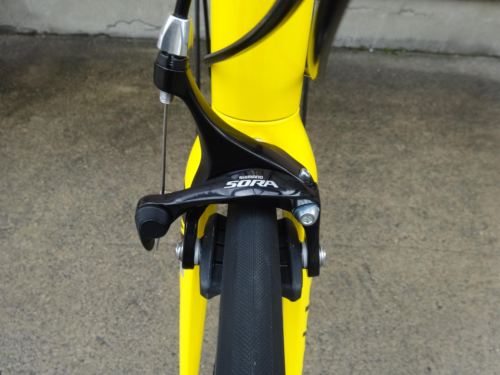 2015CaCAAD8SORA%20yellow020.JPG