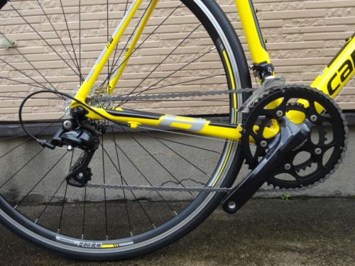 2015CaCAAD8SORA%20yellow023.JPG