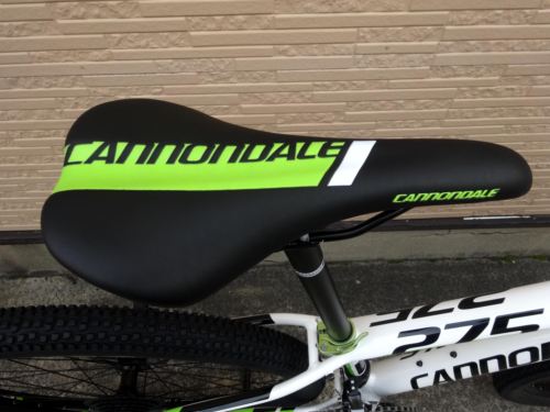 2015CaTRAIL4%E3%80%80WHT028.JPG
