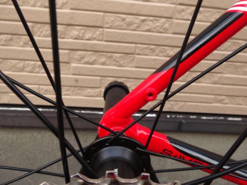 2016CaCAAD8105RED019.JPG