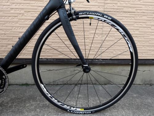 2016CaEVOULTEGRA003.JPG