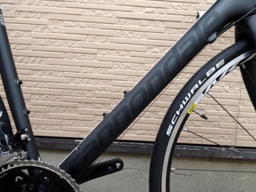 2016CaEVOULTEGRA016.JPG
