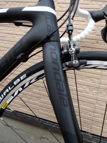 2016CaEVOULTEGRA020.JPG