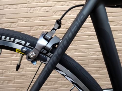 2016CaEVOULTEGRA021.JPG