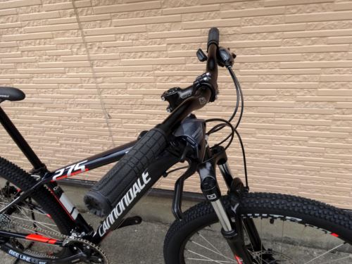 2016CaTRAIL7003.JPG