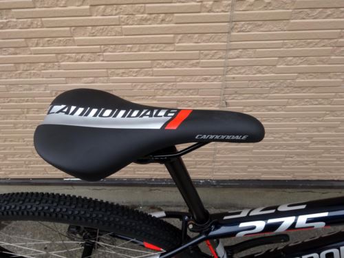 2016CaTRAIL7006.JPG