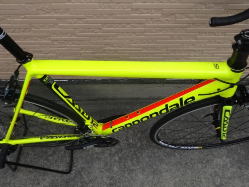 2017CaCAAD12105VLT002.JPG