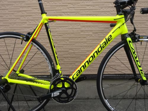 2017CaCAAD12105VLT003.JPG