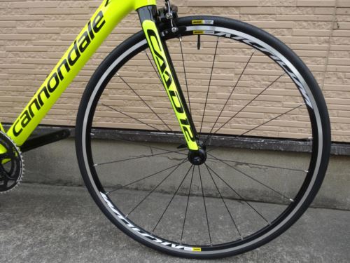 2017CaCAAD12105VLT006.JPG