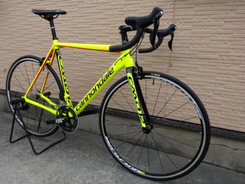 2017CaCAAD12105VLT011.JPG