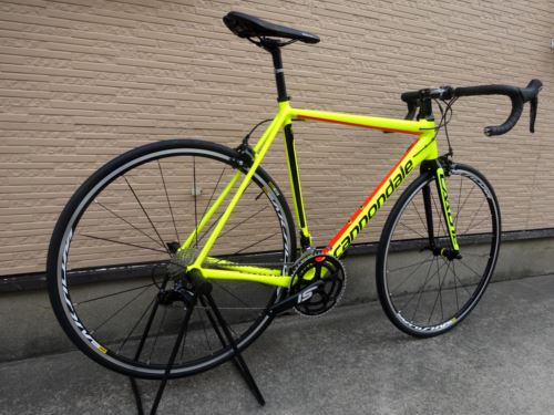 2017CaCAAD12105VLT012.JPG