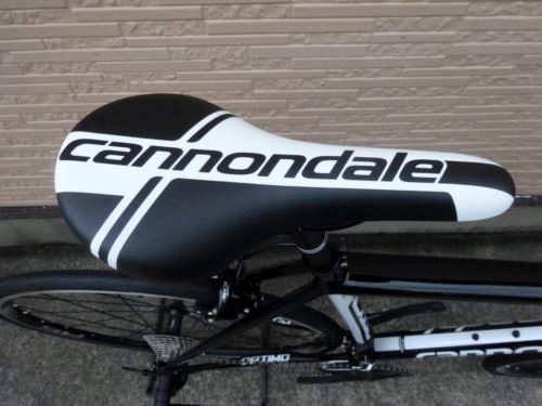2017CaCAADOPEIMO%20105BLK006.JPG