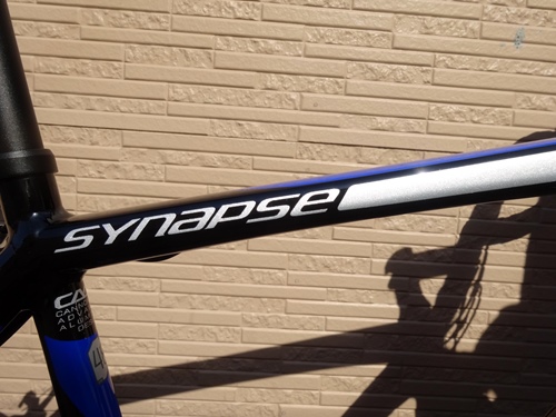 2017CaSYNAPSE%20SORA024.JPG