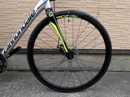 2017CaSYNAPSEDisc105003.JPG
