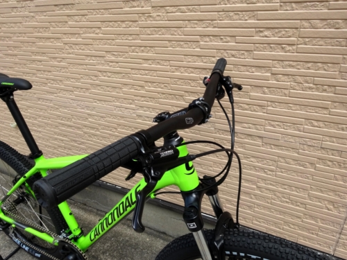 2017CaTRAIL6%E3%80%80GRN002.JPG