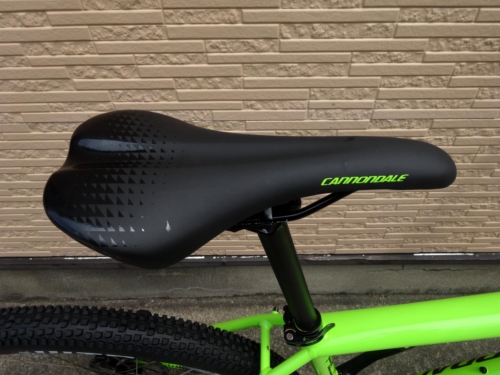 2017CaTRAIL6%E3%80%80GRN006.JPG