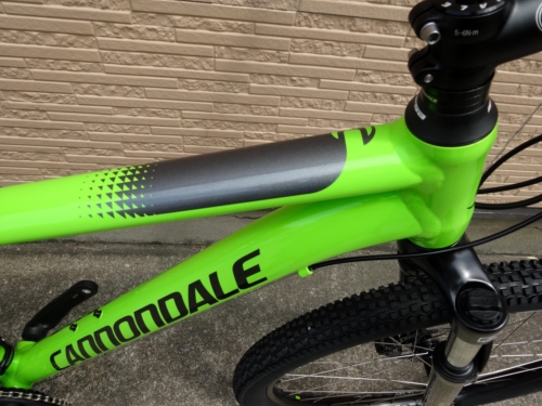 2017CaTRAIL6%E3%80%80GRN010.JPG