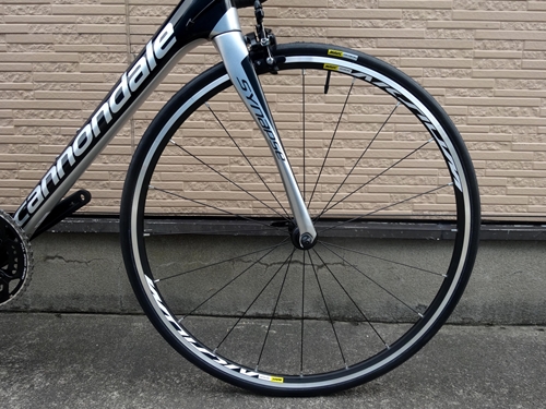 2018Ca%EF%BD%BC%EF%BE%85%EF%BE%8C%EF%BE%9F%EF%BD%BDCARBON105028.JPG