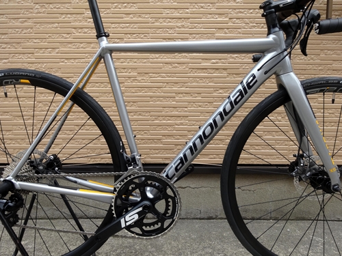 2018CaCAAD12DISC%20105007.JPG