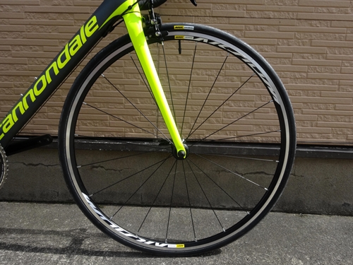 2018CaEVO105SLA005.JPG