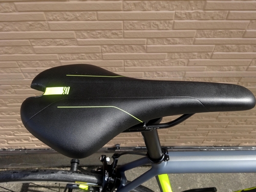2018CaEVO105SLA008.JPG