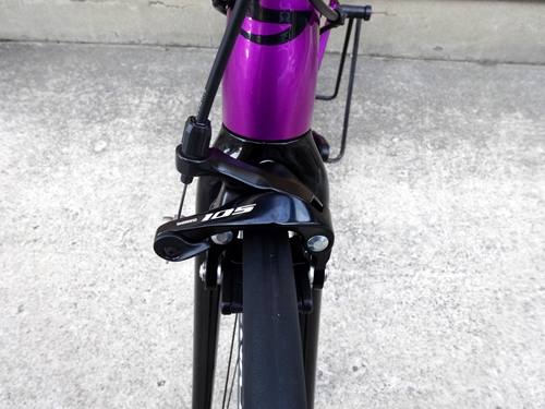 2019CaCAAD12105DPU015.JPG