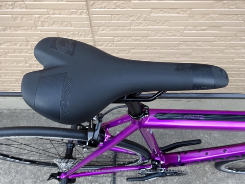 2019CaCAAD12105DPU016.JPG