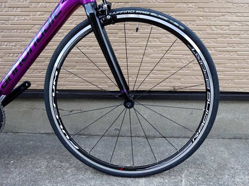2019CaCAAD12105DPU017.JPG
