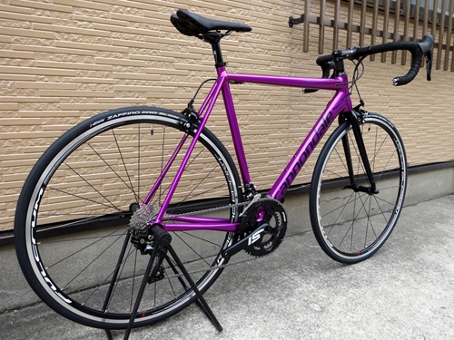 2019CaCAAD12105DPU019.JPG