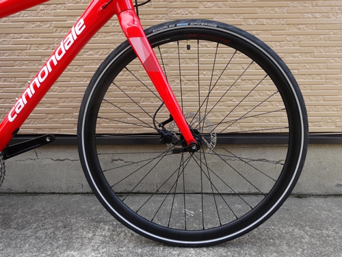 2019CaQuick4Disc%20RED002.JPG
