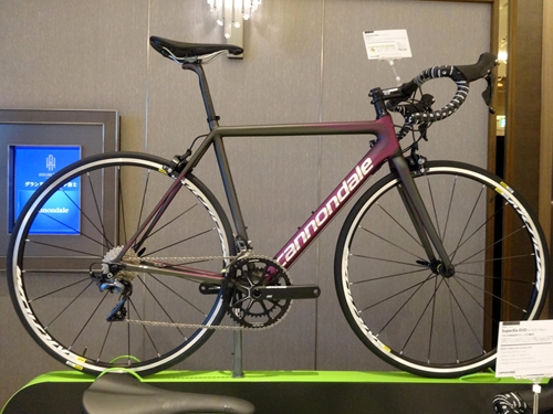 2019Cannondale%E5%B1%95%E7%A4%BA%E4%BC%9A389.JPG