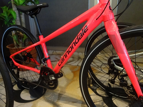 2019Cannondale%E5%B1%95%E7%A4%BA%E4%BC%9A411.JPG