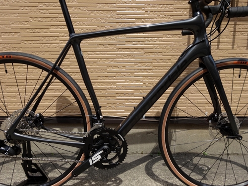 Cannondale synapse carbon disc 105 se 2019 outlet
