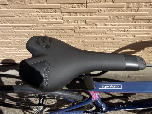 2021Ca%20Evo%20Hi-Mod%20Ultegra010.JPG