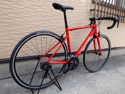 2021' Cannondale CAAD Optimo 1 -(新潟の自転車のプロショップ