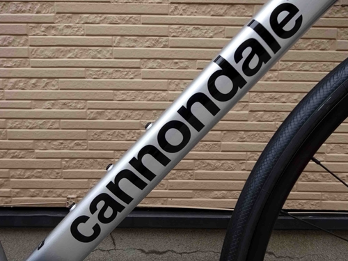 2023CaCAAD13105Di2004.JPG