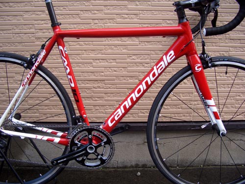 Ca-10RED%EF%BE%8C%EF%BE%9A%EF%BD%B0%EF%BE%911.JPG