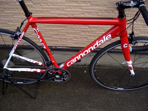 Ca-10RED%EF%BE%8C%EF%BE%9A%EF%BD%B0%EF%BE%912.JPG